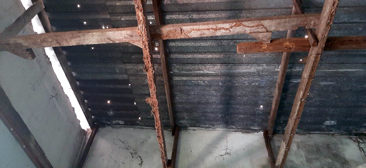 Nhà cụ Trần Sống – Đà gỗ mục và mái nhà bị thủng lỗ